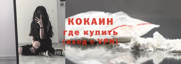 индика Армянск