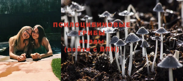 молекула духа Чегем
