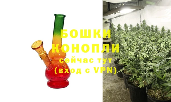 молекула духа Чегем